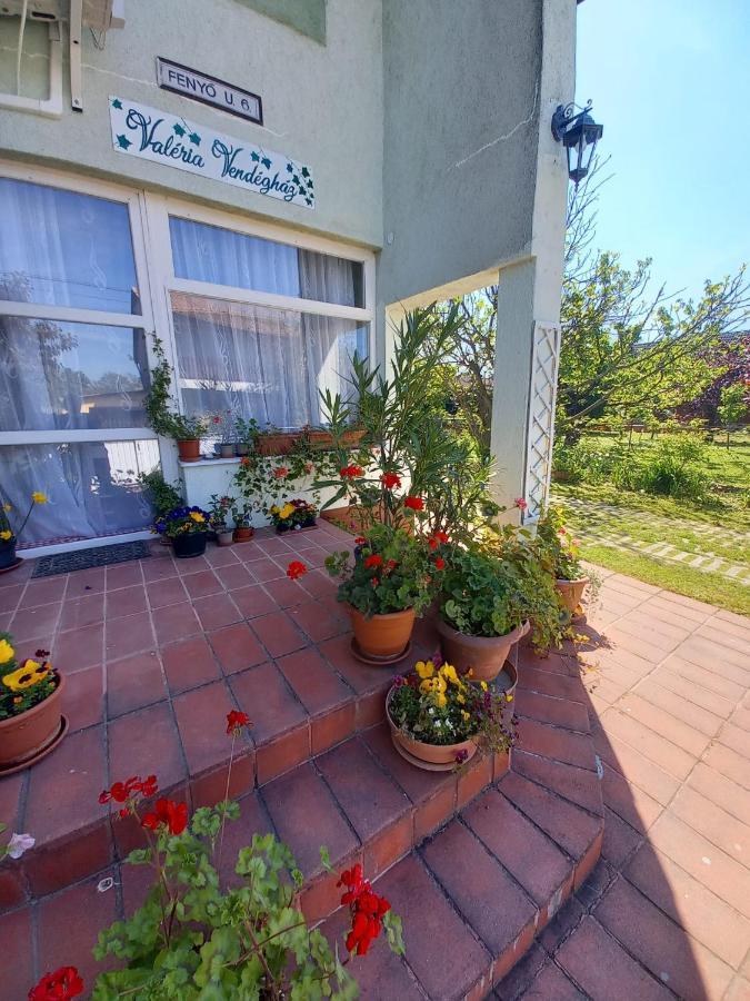 Valeria Vendeghaz Heviz Hotel Екстериор снимка